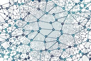 Network model, COO Gerd Altmann